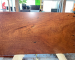 Red Gum Burl Slab
