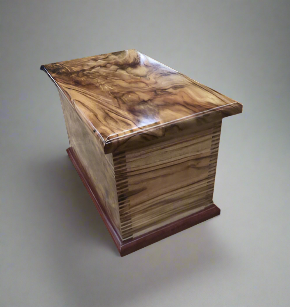 Camphor Laurel Box