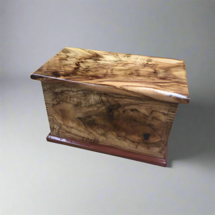 Camphor Laurel Box