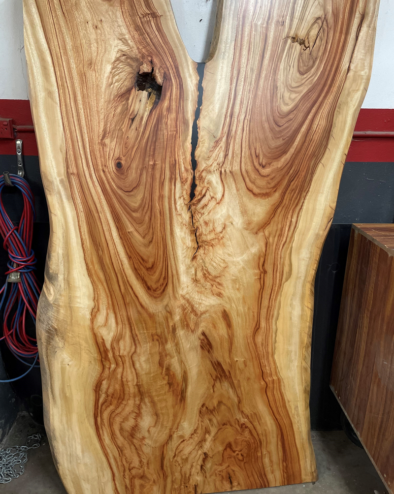 Camphor Laurel Slab