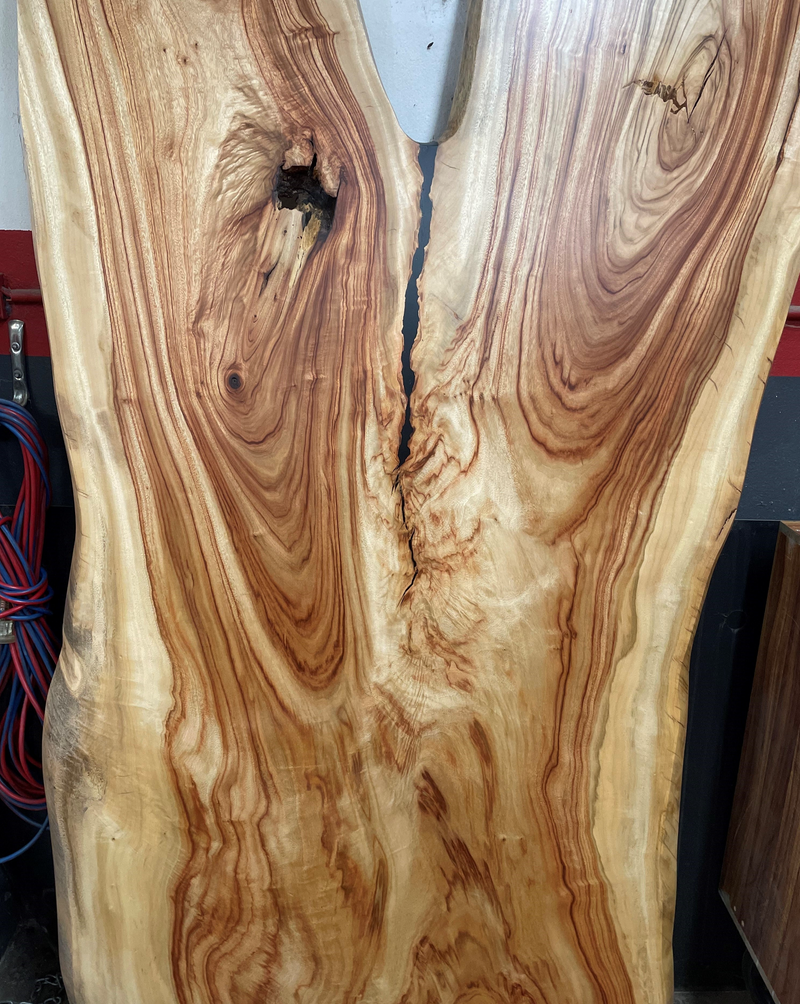 Camphor Laurel Slab