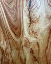 Camphor Laurel Slab
