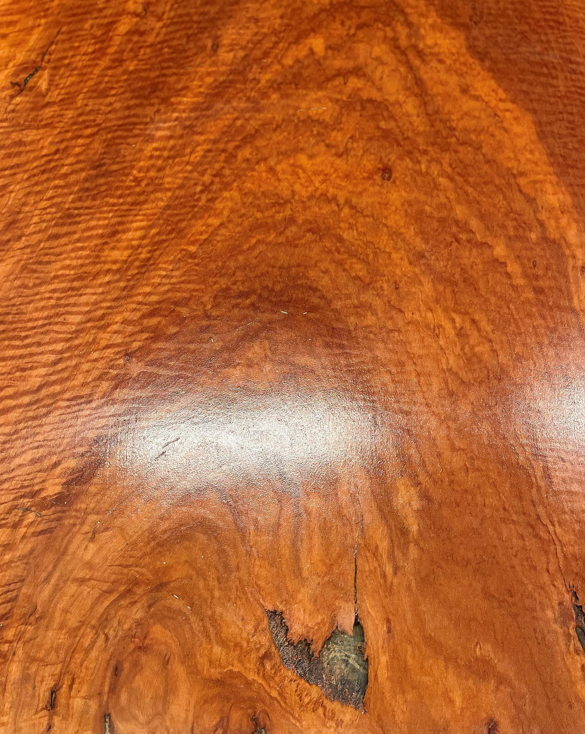 Squared Red Gum Slab