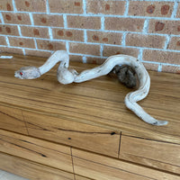 Rob Fry's Driftwood Snake
