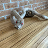 Rob Fry's Driftwood Snake