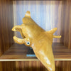 Rob Fry's Manta Ray