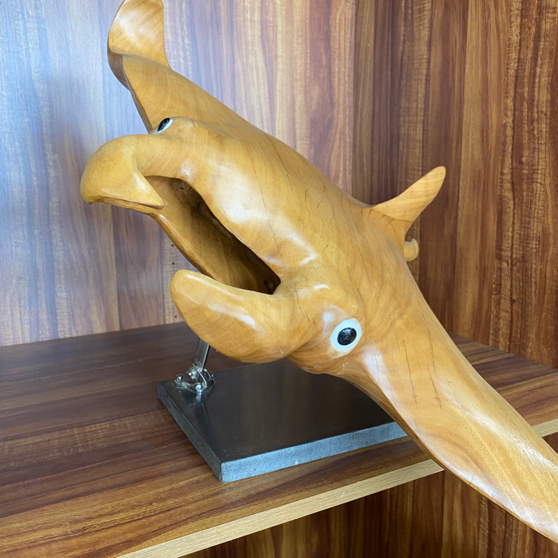 Rob Fry's Manta Ray