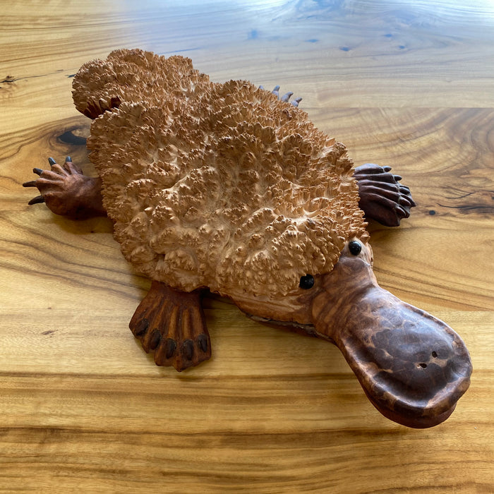 Rob Fry's Platypus