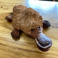 Rob Fry's Platypus
