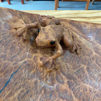 Rob Fry's Tree Frog